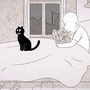 Photo Putain de chat !