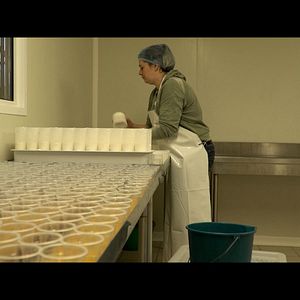 Photo Semer et Récolter