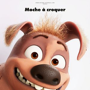 Photo Mochy, le chien le plus moche du monde