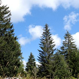 Photo Au cœur des parcs naturels régionnaux de Rhône-Alpes-Auvergne