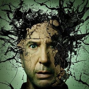 Photo Chair de poule