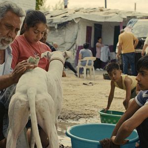 Photo Ciudad sin sueño