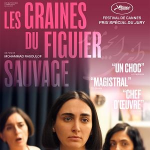 Photo Les Graines du figuier sauvage