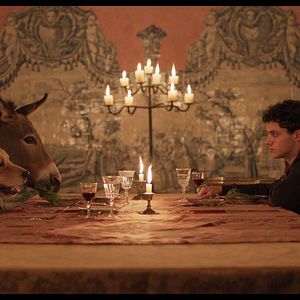 Photo L'Arbre de la connaissance