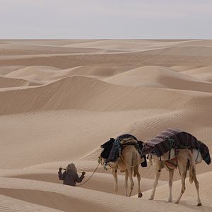 Photo La Tunisie, entre rencontres et traditions