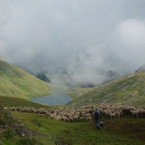 Photo Festival Pastoralismes 2025 - séance 1 : Bergères, bergers, qui êtes vous ?