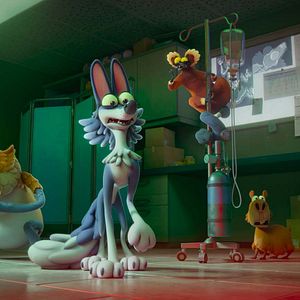 Photo Une nuit au zoo