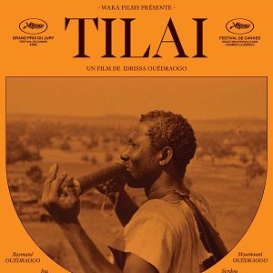 Photo Tilaï
