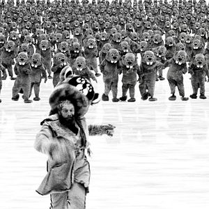 Photo Hundreds Of Beavers