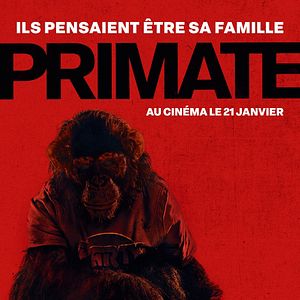Photo Primate
