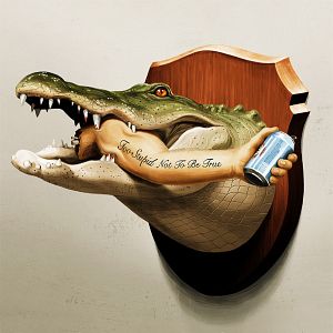 Photo It's Florida, Man