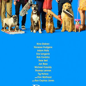 Photo Dog Days