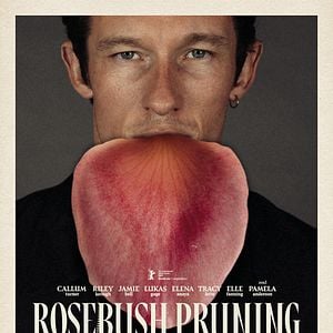 Photo Rosebush Pruning