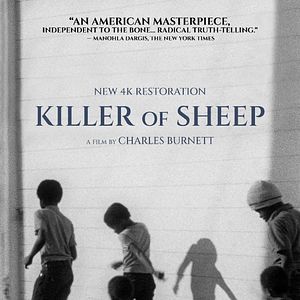 Photo Killer of Sheep