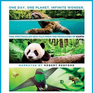 Photo Un nouveau jour sur Terre