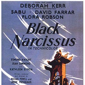 Photo Le Narcisse noir