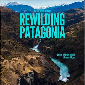 Photo Rewilding Patagonia