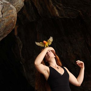 Photo Les Oiseaux de Pluie