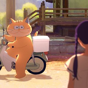 Photo Anzu, chat-fantôme