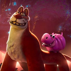 Photo Une nuit au zoo