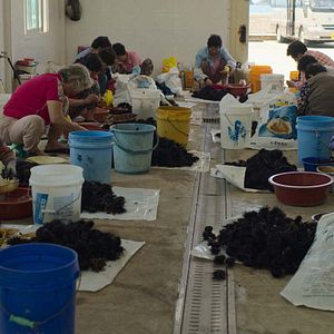 Photo Haenyeo : les dernières gardiennes de la mer