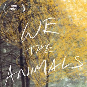 Photo We The Animals