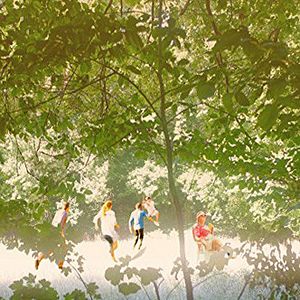 Photo Summer In The Forest