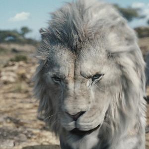 Photo Mufasa : Le Roi Lion
