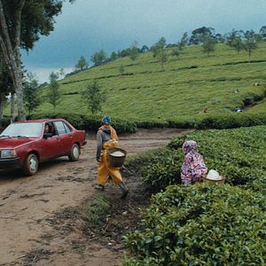 Photo Kwibuka, se souvenir