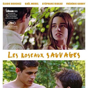 Photo Les Roseaux sauvages