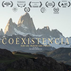Photo Coexistencia, sur les traces des Pumas