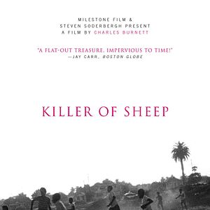 Photo Killer of Sheep