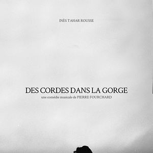 Photo Des cordes dans la gorge