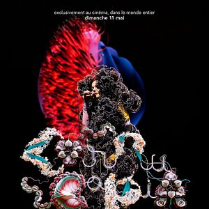 Photo Björk : Cornucopia