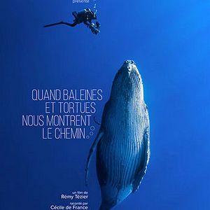 Photo Des baleines, des tortues et des hommes