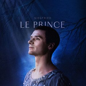 Photo Le lac des cygnes