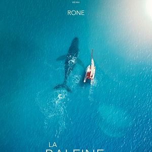 Photo La Baleine et le musicien