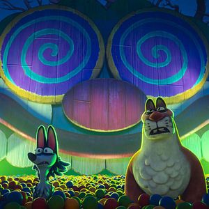 Photo Une nuit au zoo