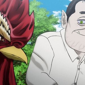 Photo Rooster Fighter