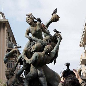 Photo Hippodamia