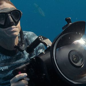 Photo En paix avec les requins