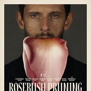 Photo Rosebush Pruning