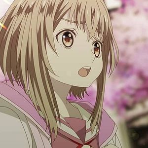 Photo Momentary Lily