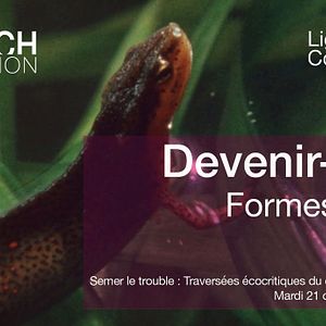Photo Scratch Collection : Devenir-avec : Formes de vie