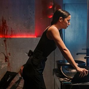 Photo De l'univers de John Wick : Ballerina