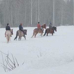 Photo Younost, une jeunesse russe