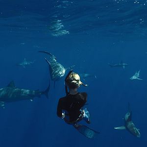 Photo En paix avec les requins
