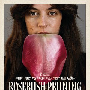 Photo Rosebush Pruning