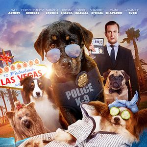 Photo Le Dog Show