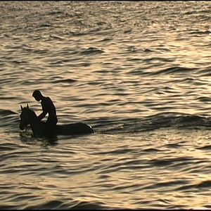 Photo Voyage à Gaza